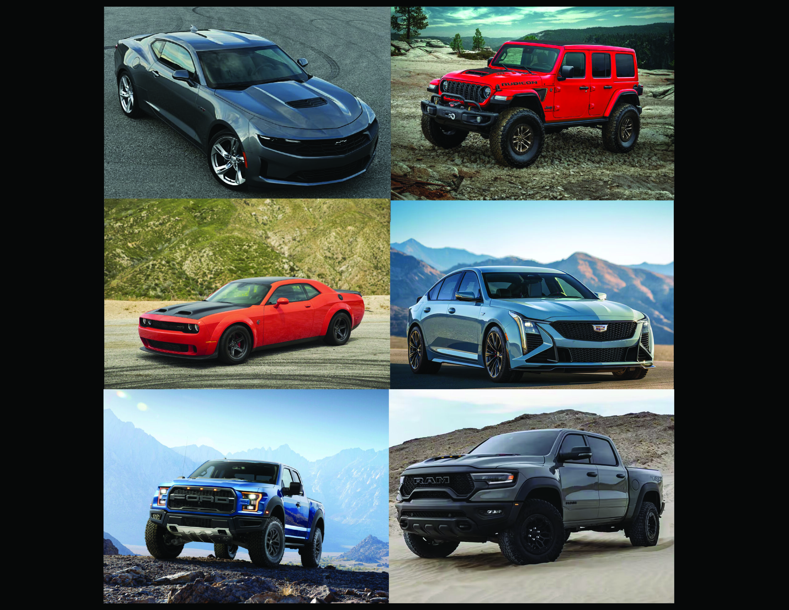 Domestic vehicles logo thumb 